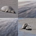 Impressionen vom Wattenmeer