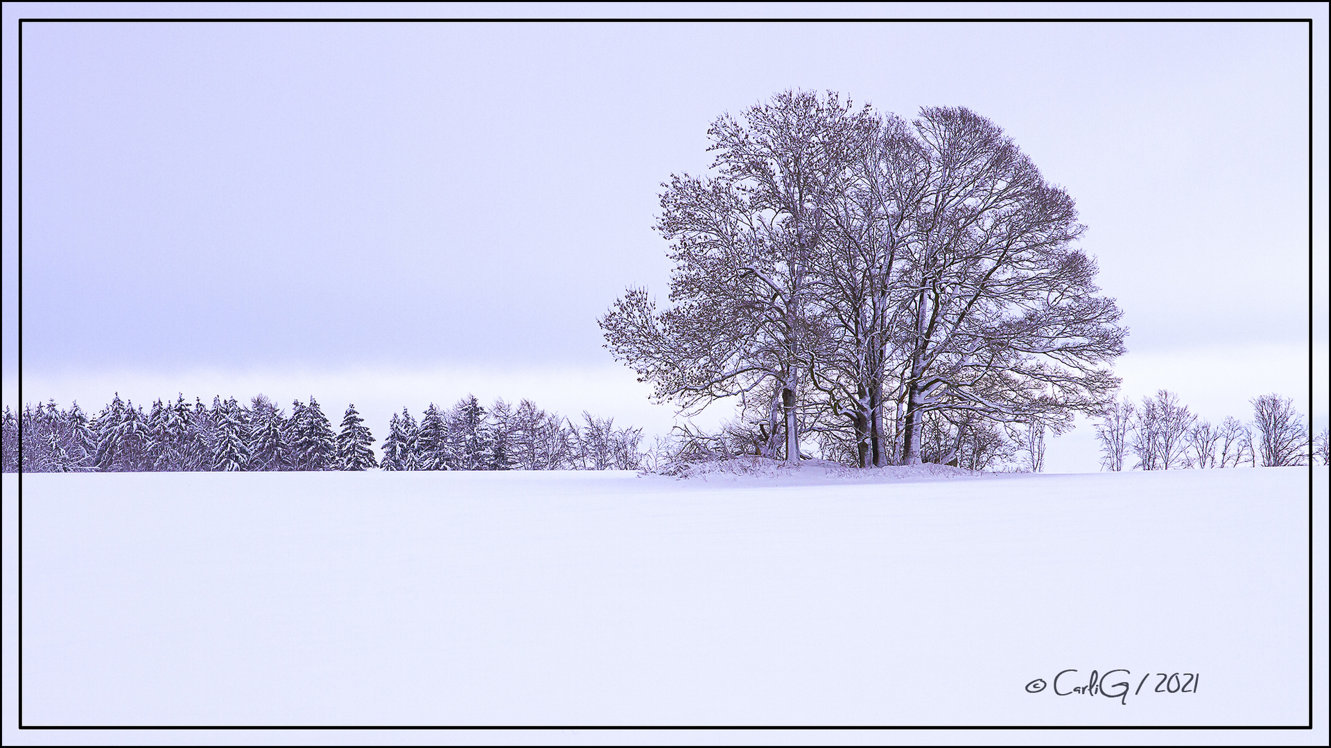 Impressionen vom Winter/1