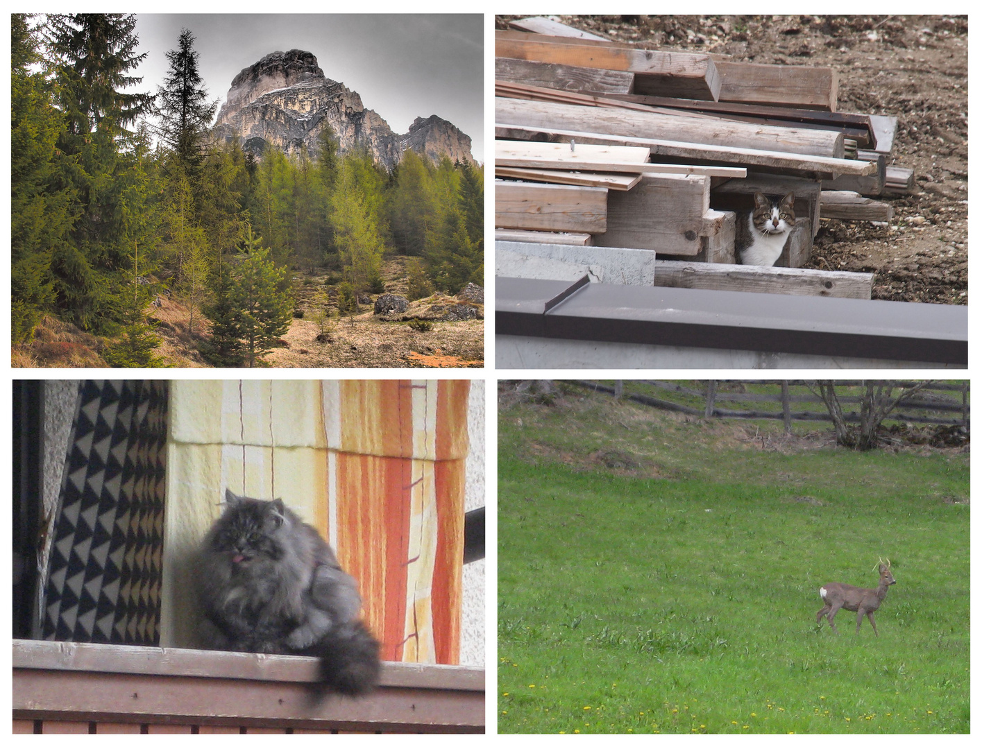 Impressionen von Corvara