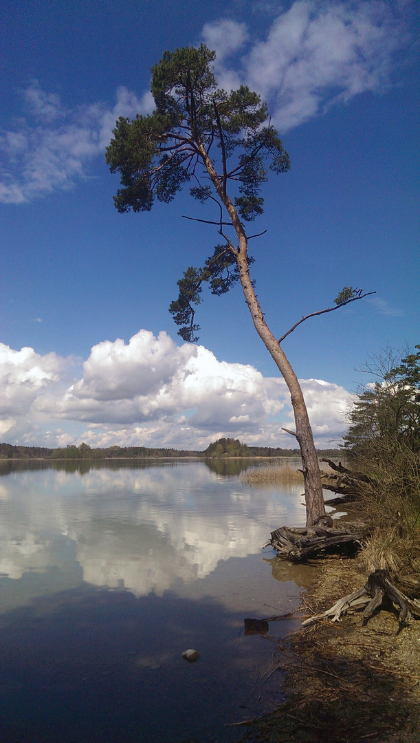 Impressionen von den bayer. Osterseen I