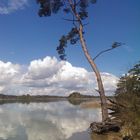 Impressionen von den bayer. Osterseen I