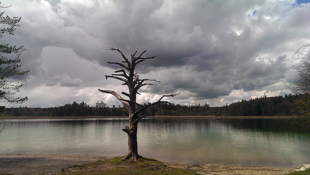 Impressionen von den bayer. Osterseen II