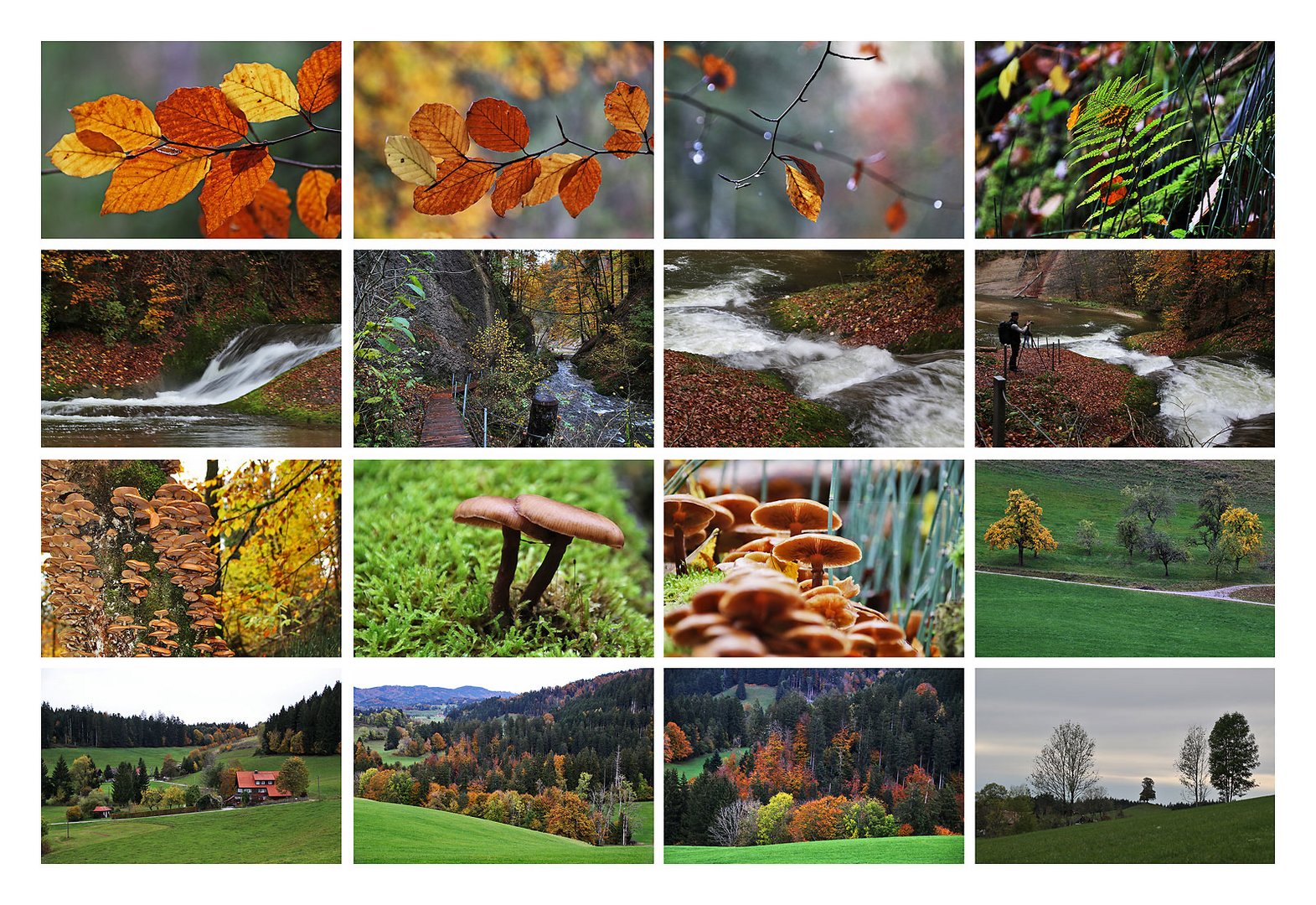 Impressionen von der Eistobel-Wanderung