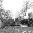 Impressionen von der Fichtelbergbahn in schwarz-weiß 2