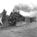 Impressionen von der Fichtelbergbahn in schwarz-weiß 3