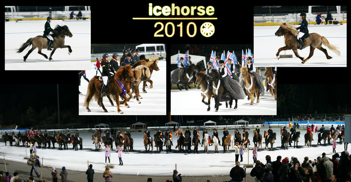 Impressionen von der IceHorse 2010