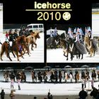 Impressionen von der IceHorse 2010