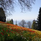 Impressionen von der Insel Mmainau im April 2021