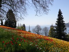 Impressionen von der Insel Mmainau im April 2021