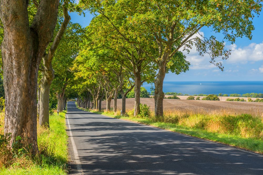 Impressionen von der Insel Rügen