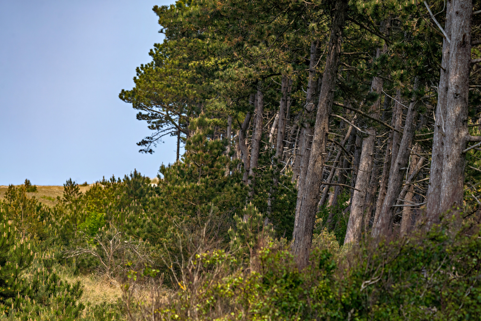 Impressionen von der Lieblingsinsel Hiddensee