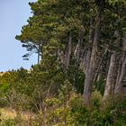 Impressionen von der Lieblingsinsel Hiddensee