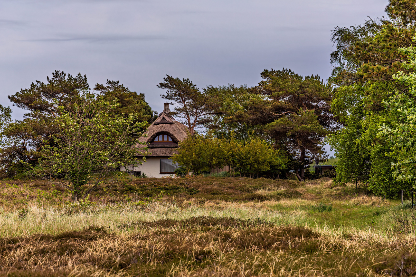 Impressionen von der Lieblingsinsel Hiddensee