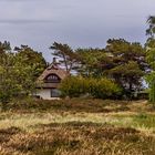 Impressionen von der Lieblingsinsel Hiddensee