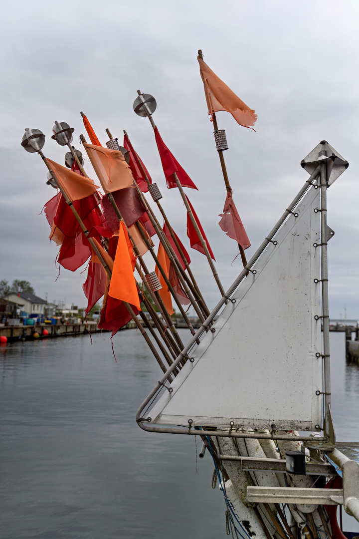 Impressionen von der Lieblingsinsel Hiddensee