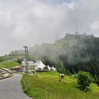 Impressionen von der RIGI (5)