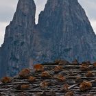 Impressionen von der Seiser Alm