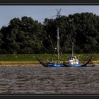 Impressionen von der Unterweser II