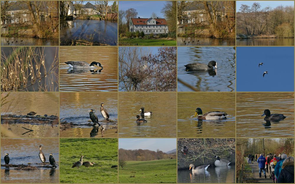 Impressionen von einer vogelkundlichen Wanderung...