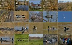 Impressionen von einer vogelkundlichen Wanderung...