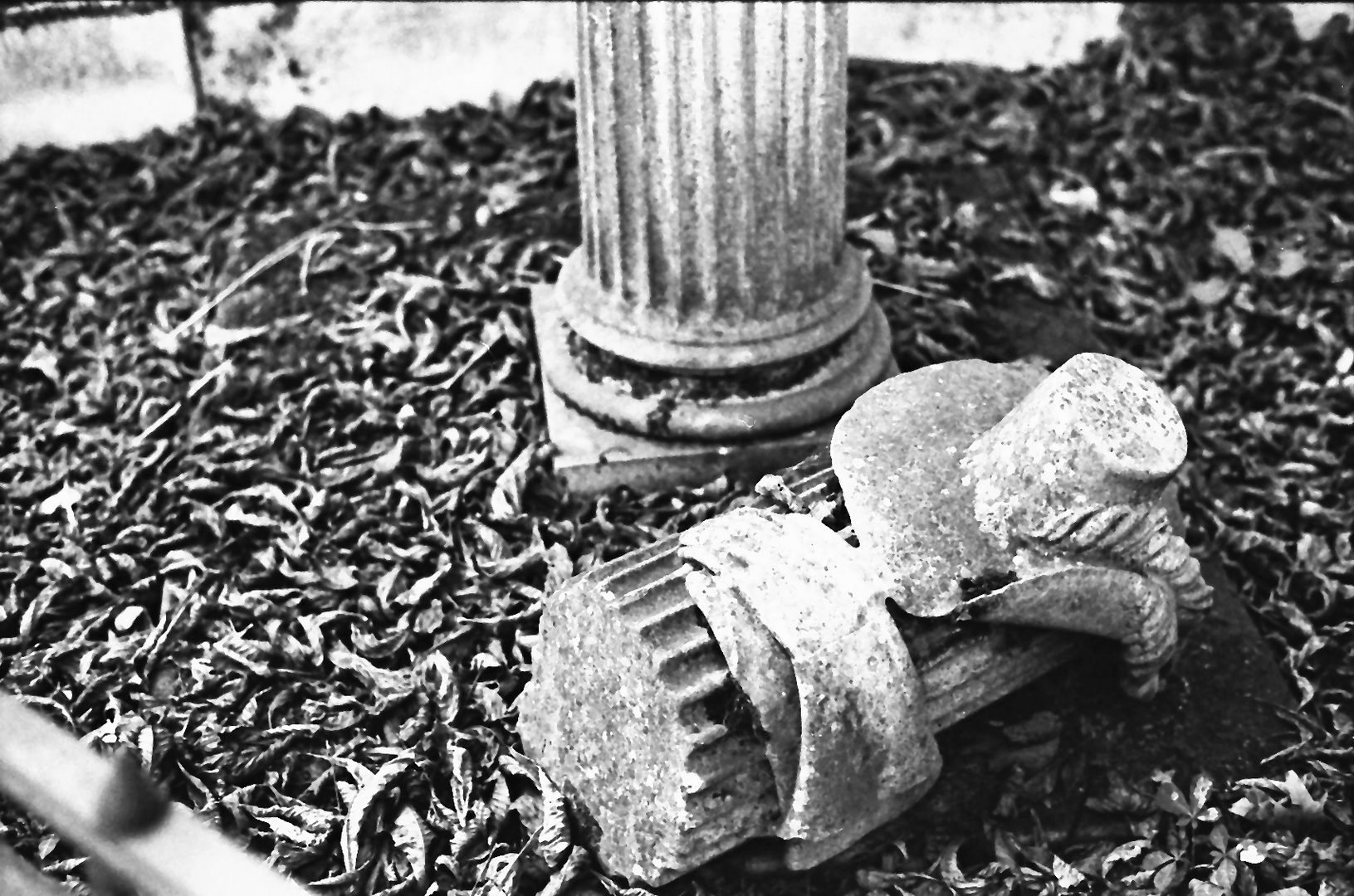 Impressionen von Kensal Green Cemetery I