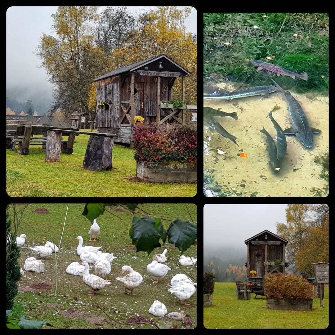 Impressionen von Lauterbad bei Freudenstadt 