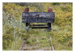 Impressionen Wangerooge 5