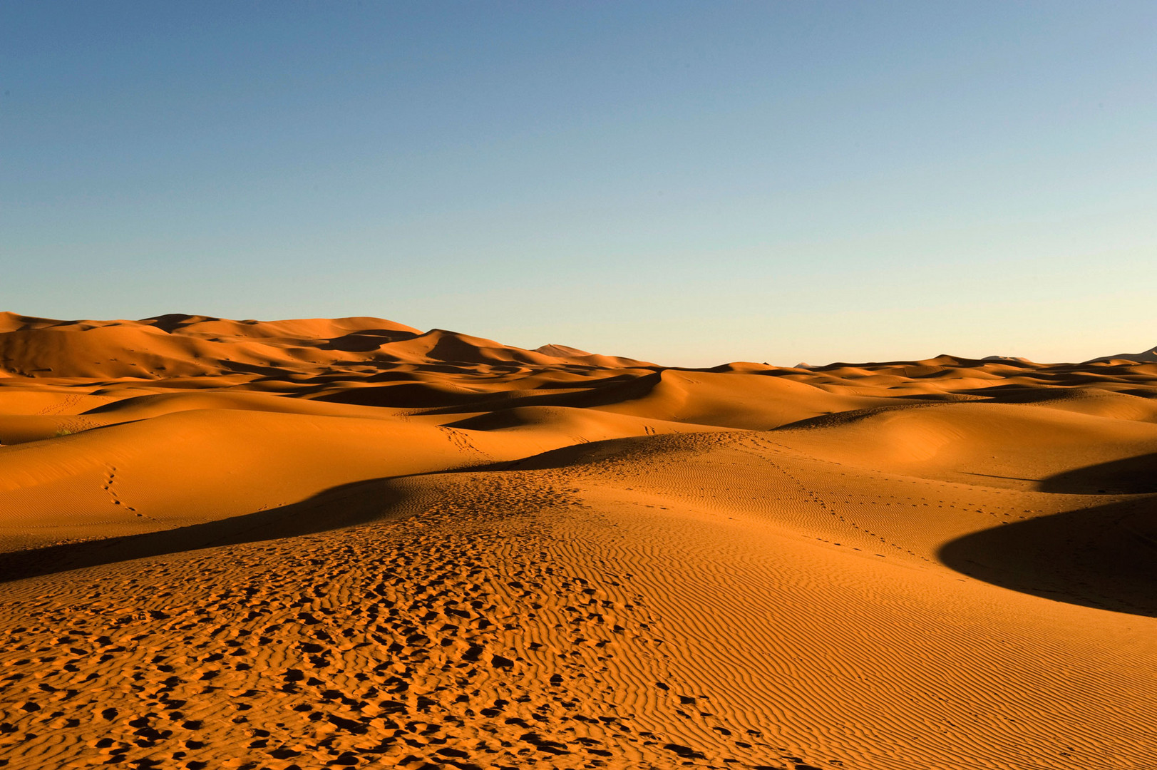 Impressionen Wüste