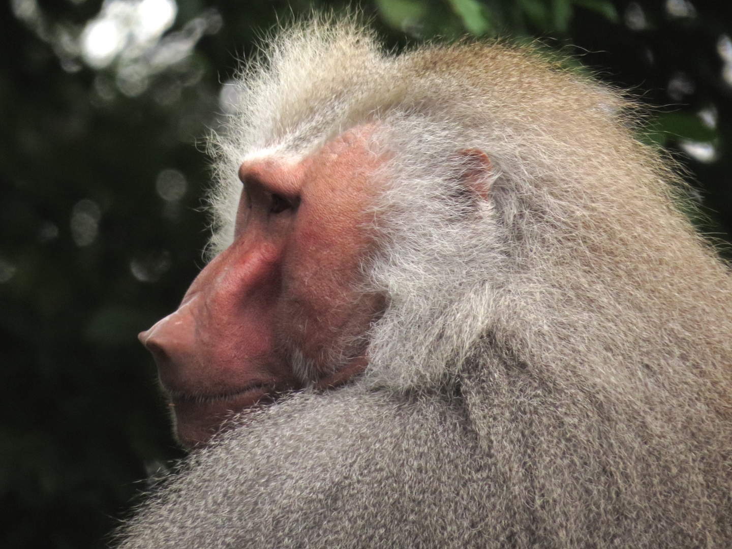 Impressionen  Zoo