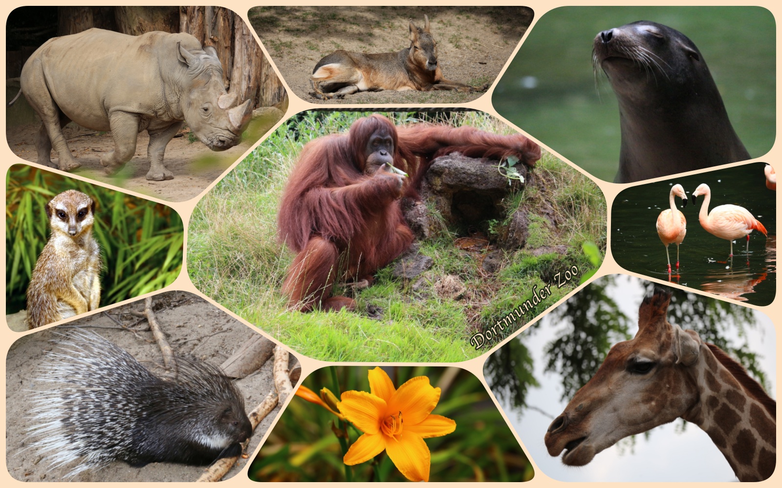 Impressionen Zoo Besuch 