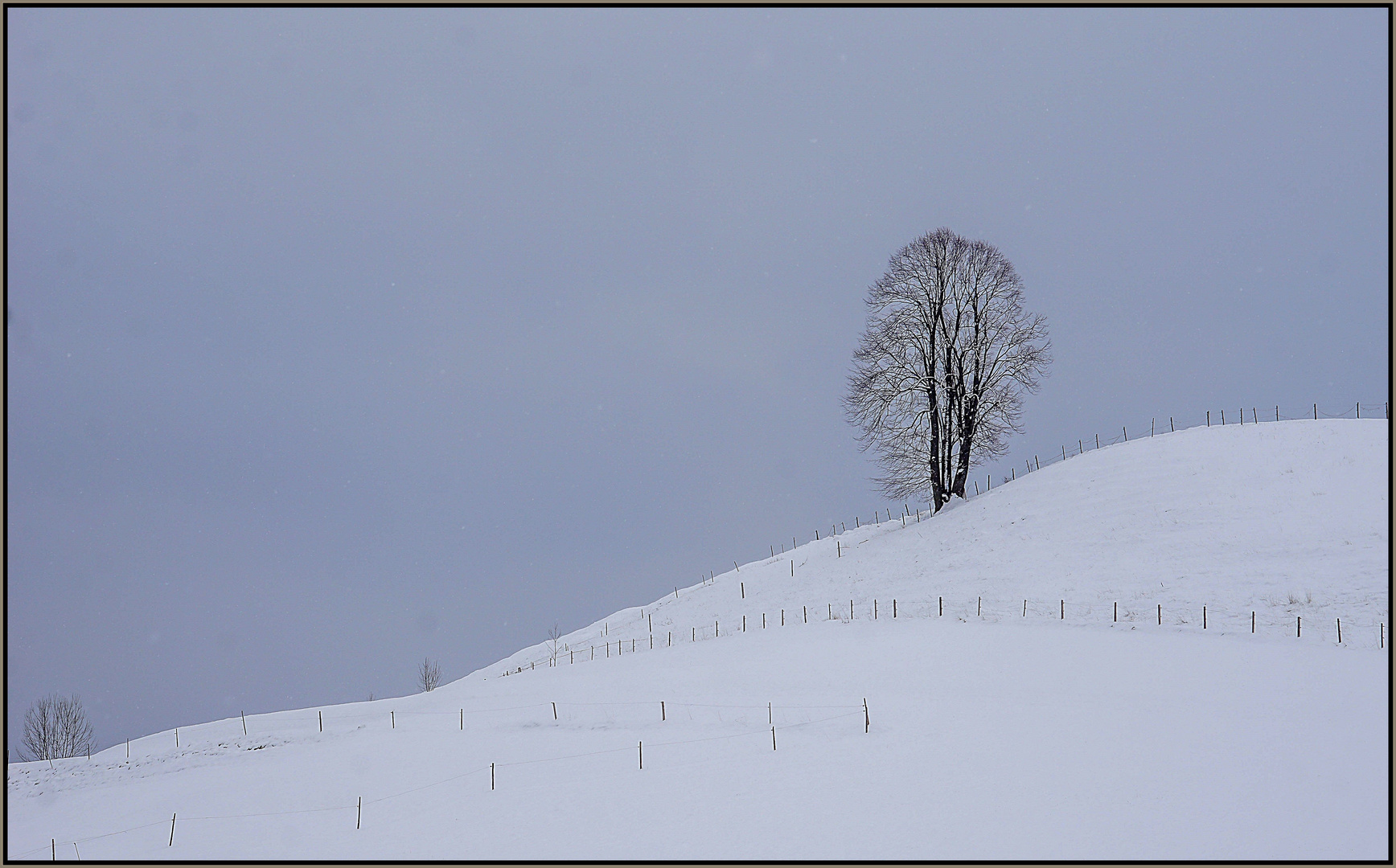 Impressionen zum Frühlingsanfang (4)