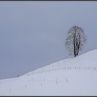 Impressionen zum Frühlingsanfang (4)