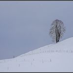 Impressionen zum Frühlingsanfang (4)