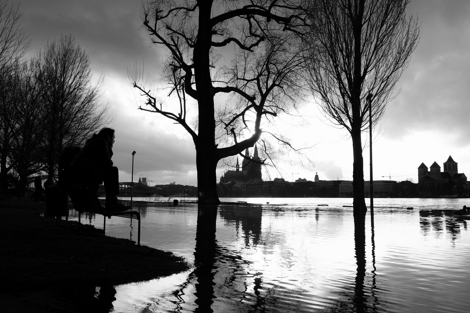 Impressionen zum Hochwasser in Köln