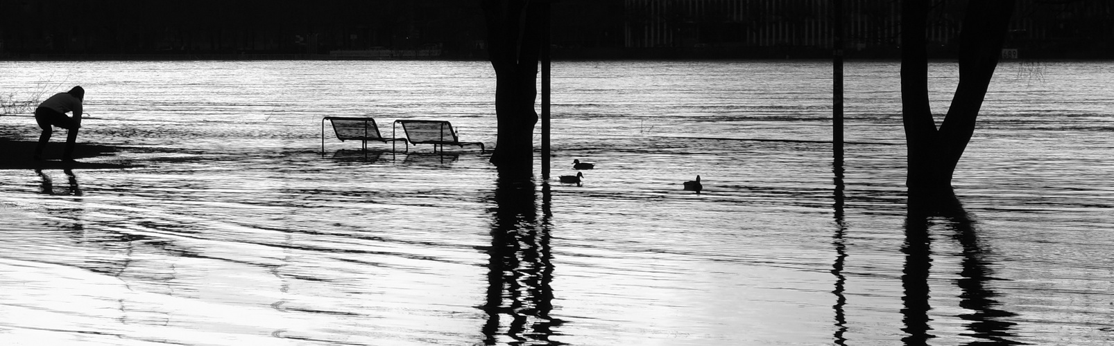 Impressionen zum Hochwasser in Köln Februar 2021