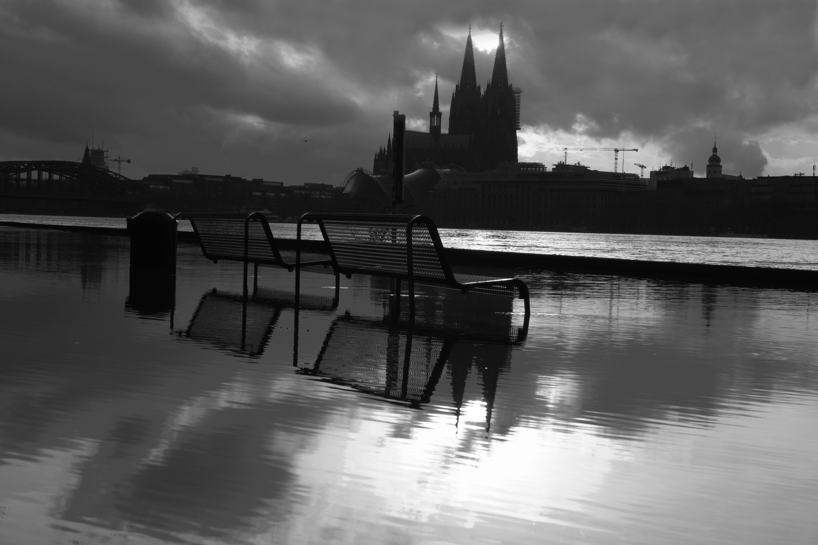 Impressionen zum Hochwasser in Köln Februar 2021