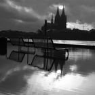 Impressionen zum Hochwasser in Köln Februar 2021