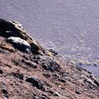 Impressionen zur Mittagszeit in vulkanischer Einöde auf La Palma