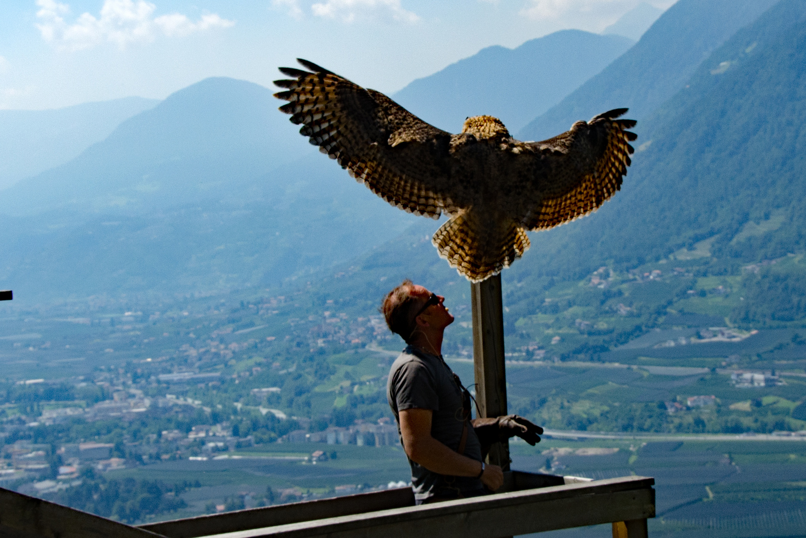 Impressionen(2) von der Greifvogelschau Schloss Tirol