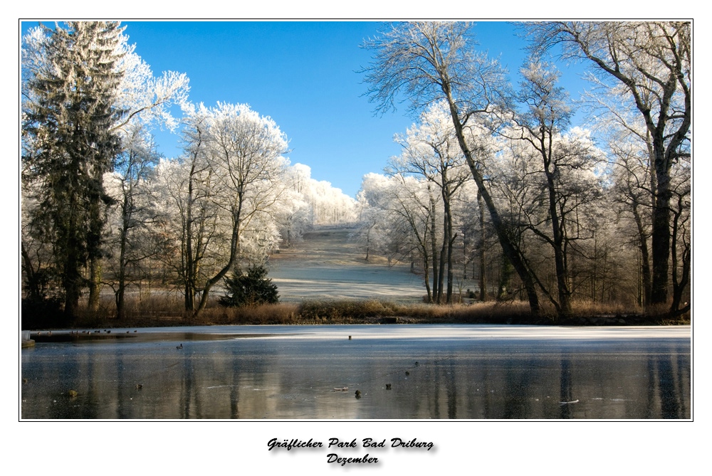 Impressionen/Gräflicher-Park Bad Driburg