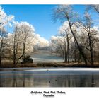 Impressionen/Gräflicher-Park Bad Driburg