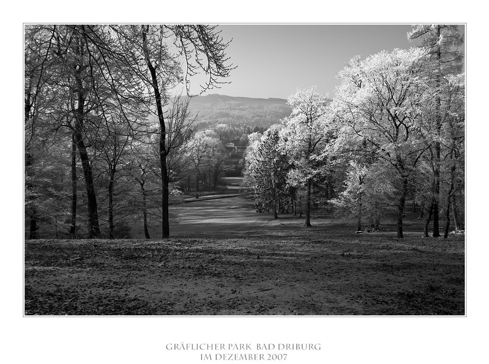 Impressionen/Gräflicher Park Bad Driburg II