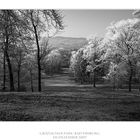 Impressionen/Gräflicher Park Bad Driburg II