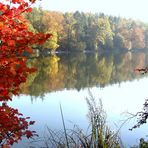 Impressiones de otoño/ impressions d'automne/ Herbstimpressionen..01