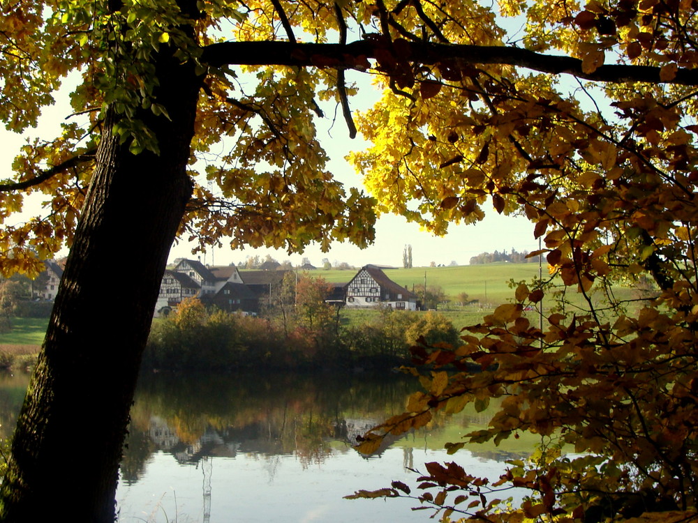 Impressiones de otoño/ impressions d'automne/ Herbstimpressionen..03