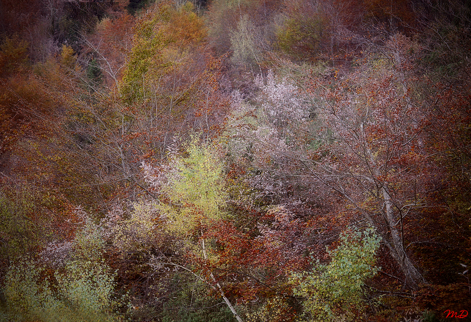 Impressioni d' Ottobre