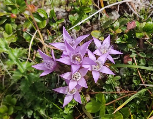 Impressioni di montagna1