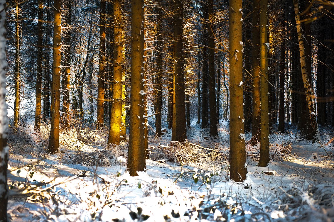 impressioni invernali III