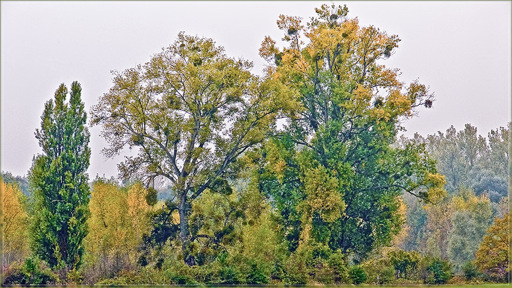 Impressionismus, Malerei des Herbstes