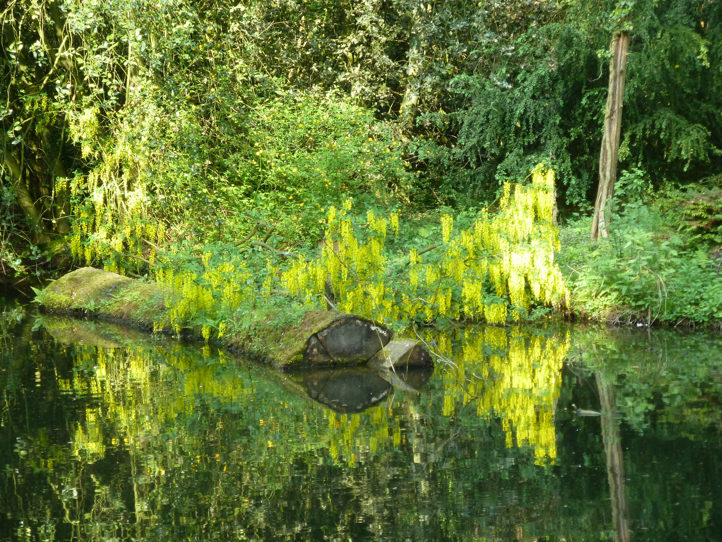 impressionist shades of green - hombroich